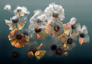 Dancing Heleniums – Botanical Fine Art Print by Kenzy | Made by Kenzy Limited Edition. Handpicked seasonal flowers, digitally captured in exquisite detail and printed on museum-quality cotton rag or canvas.