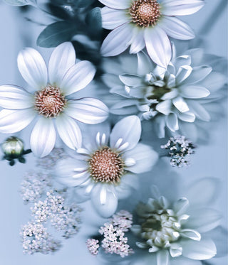 Fine art botanical print created by Kenzy using scanography, part of her exclusive collaboration with Fine Print Co.