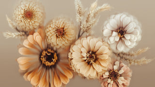 Botanical photographic fine art print by Kenzy from the exclusive Fine Print Co collection, featuring locally grown Gold Coast flowers.