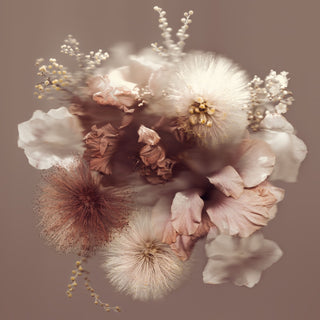 Mocha Clouds 01 - Fine Print Co Exclusive
