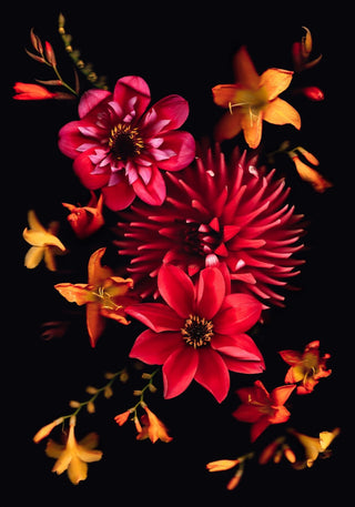 Sunset Superblooms - Fine Art Print