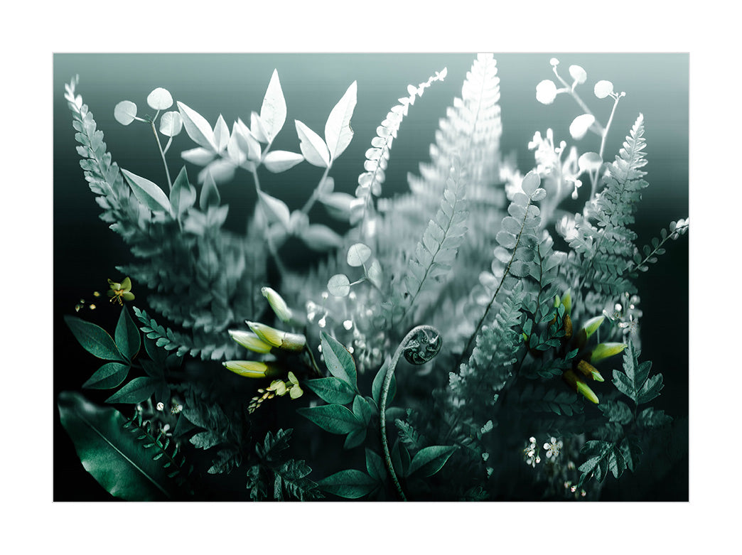 New Frosted Flora Fine Art Print