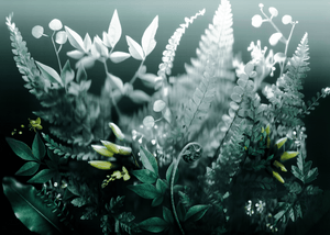 New Frosted Flora Fine Art Print