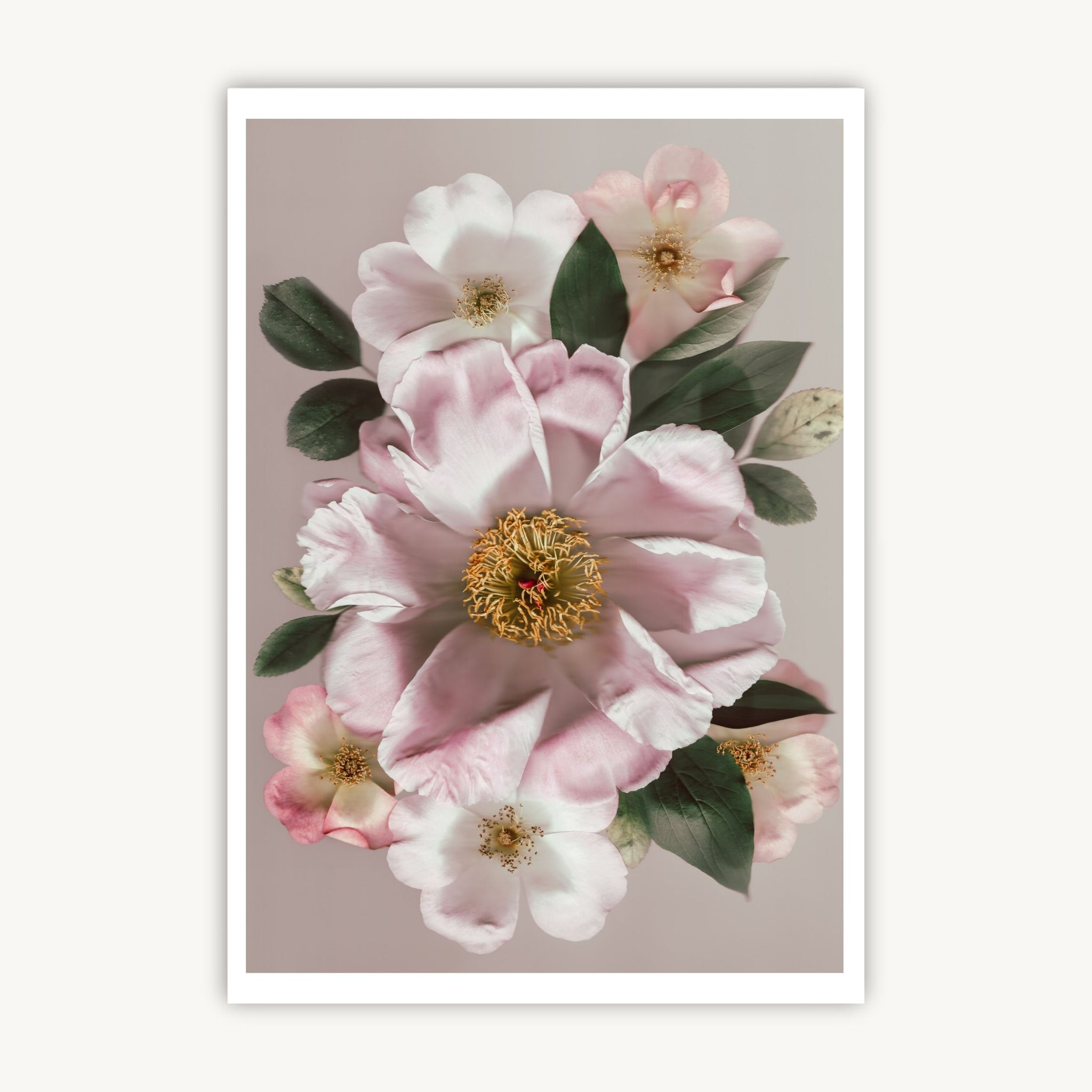 Blooming Beauty - Fine Art Print