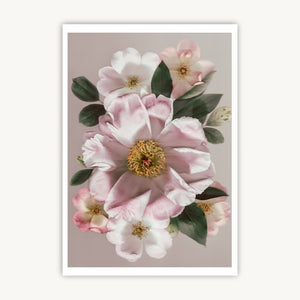 Blooming Beauty - Fine Art Print