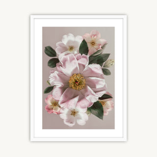 Blooming Beauty - Fine Art Print