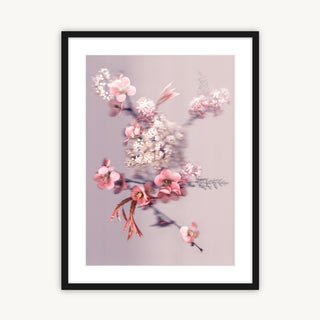 Blossom Bouquet - Fine Art Print