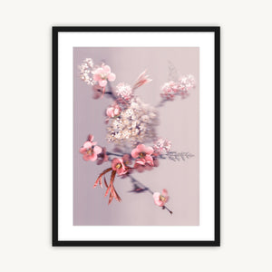 Blossom Bouquet - Fine Art Print
