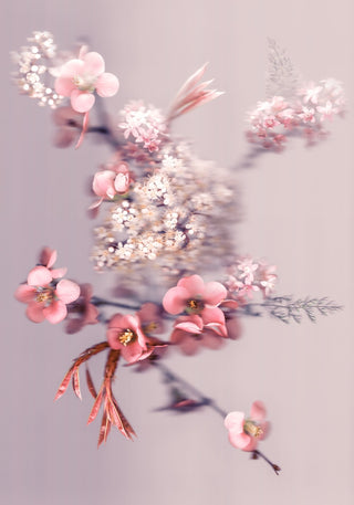 Blossom Bouquet - Fine Art Print