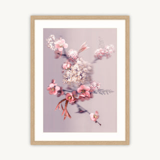 Blossom Bouquet - Fine Art Print