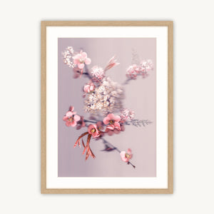 Blossom Bouquet - Fine Art Print
