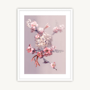 Blossom Bouquet - Fine Art Print