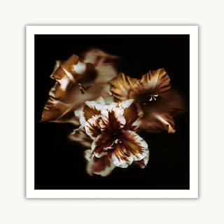 Bronze Petals 02 - Fine Print Co Exclusive