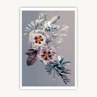 Cistus Burst - Fine Art Print