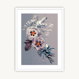 Cistus Burst - Fine Art Print