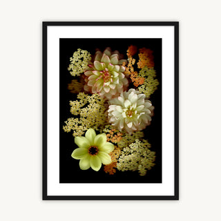 Dahlia & Achillea - Fine Art Print