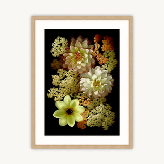 Dahlia & Achillea - Fine Art Print