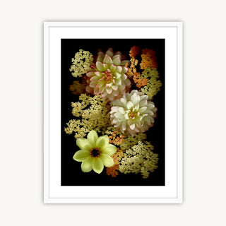 Dahlia & Achillea - Fine Art Print
