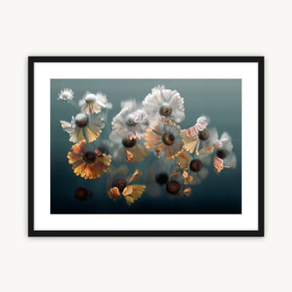 Dancing Heleniums – Botanical Fine Art Print framed in classic black, with golden heleniums contrasting against a deep ink grey background.