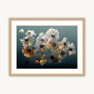 Dancing Heleniums – Fine Art Print framed in light oak, featuring golden heleniums on museum-quality cotton rag, adding warmth to any space.