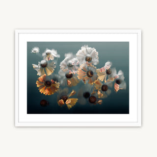 Dancing Heleniums – Framed Fine Art Print in white, featuring soft golden florals, printed on museum-quality cotton rag.