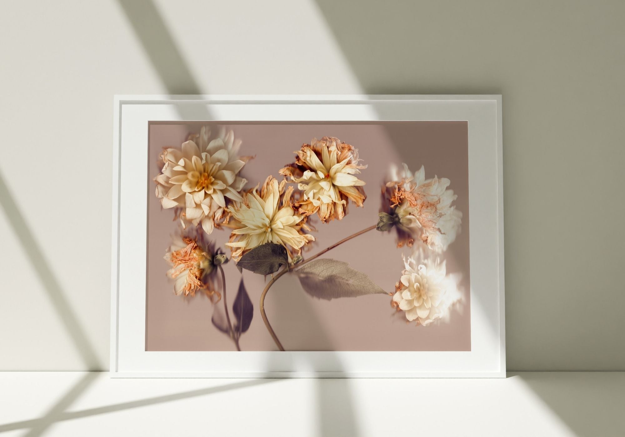 Fading Splendour - Fine Art Print