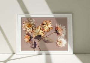 Fading Splendour - Fine Art Print
