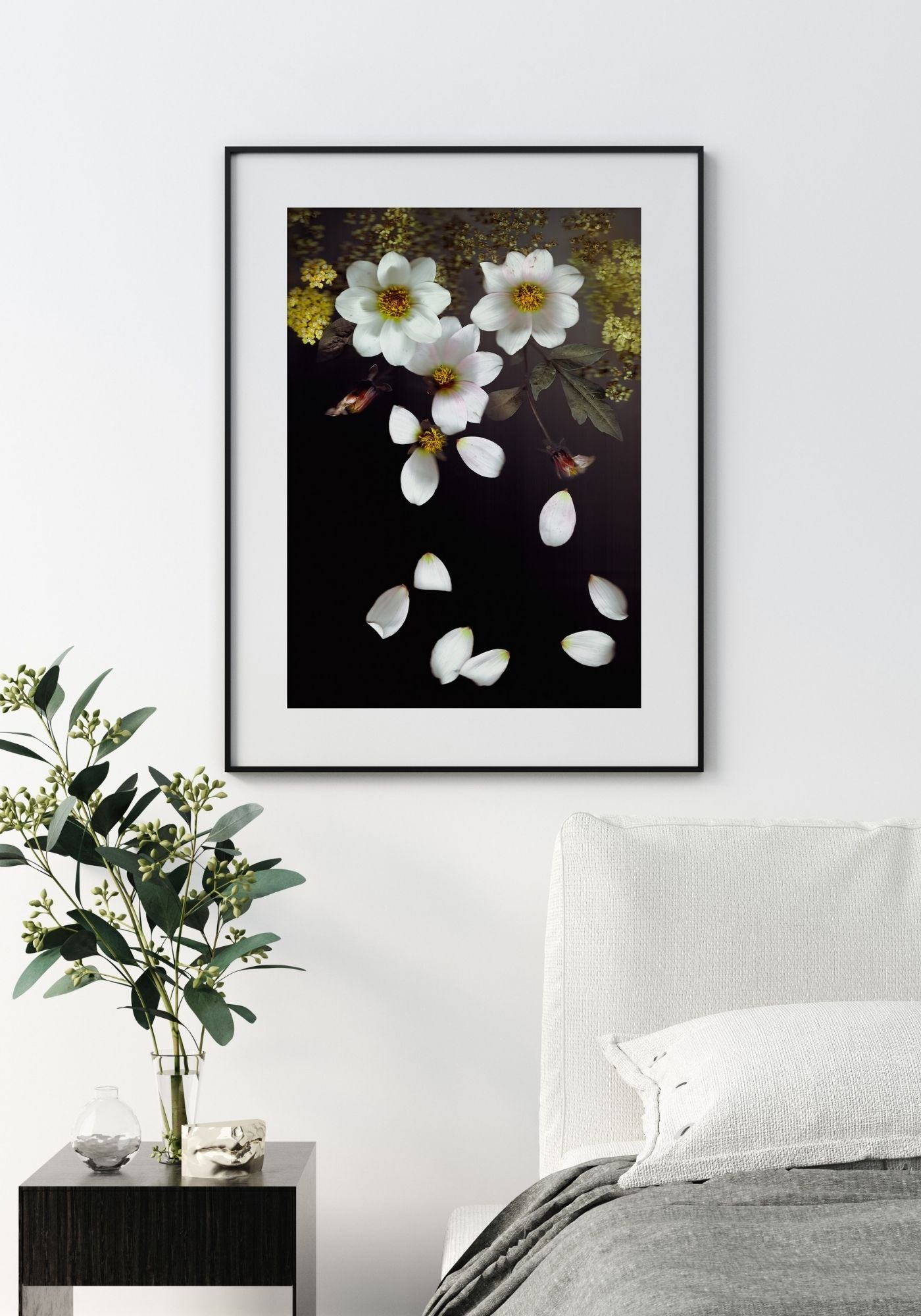 Falling Dahlias - Fine Art Print