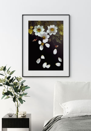 Falling Dahlias - Fine Art Print