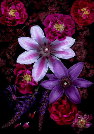 Floral Fiesta - Fine Art Print
