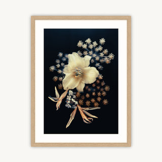 Floral Stars - Fine Art Print