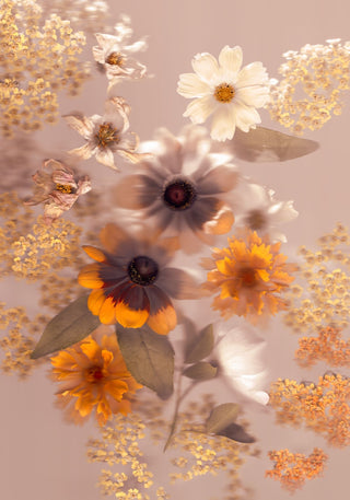 Golden Summer - Fine Art Print