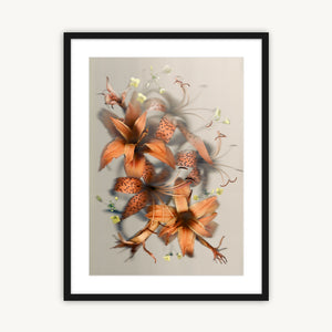 Luscious Lillies - Fine Art Print