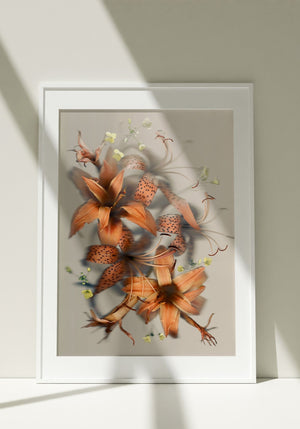 Luscious Lillies - Fine Art Print