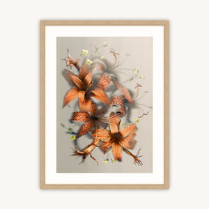 Luscious Lillies - Fine Art Print