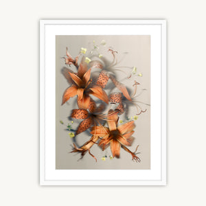 Luscious Lillies - Fine Art Print