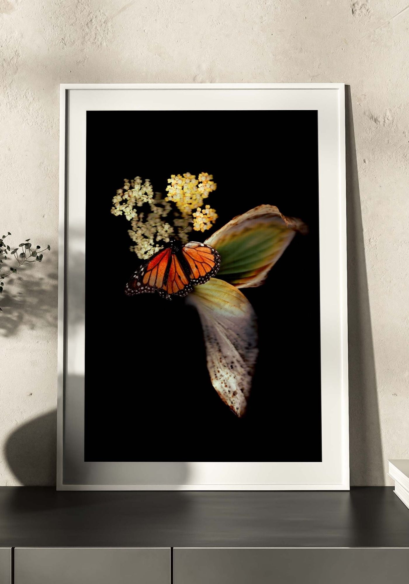 Monarch & Hosta - Fine Art Print