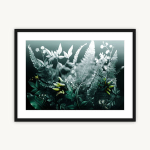 Native Forest - Fine Art Print