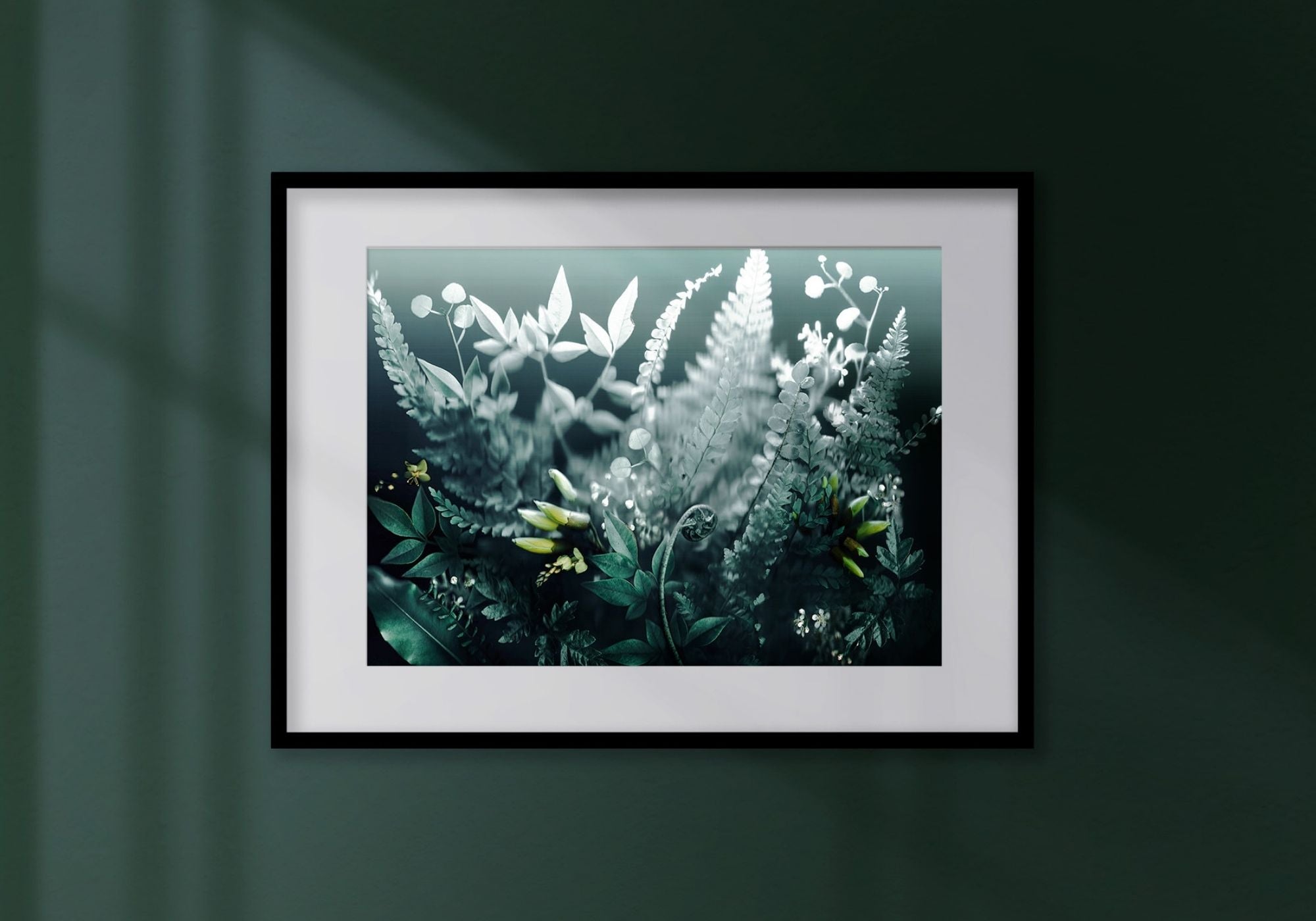 Native Forest - Fine Art Print