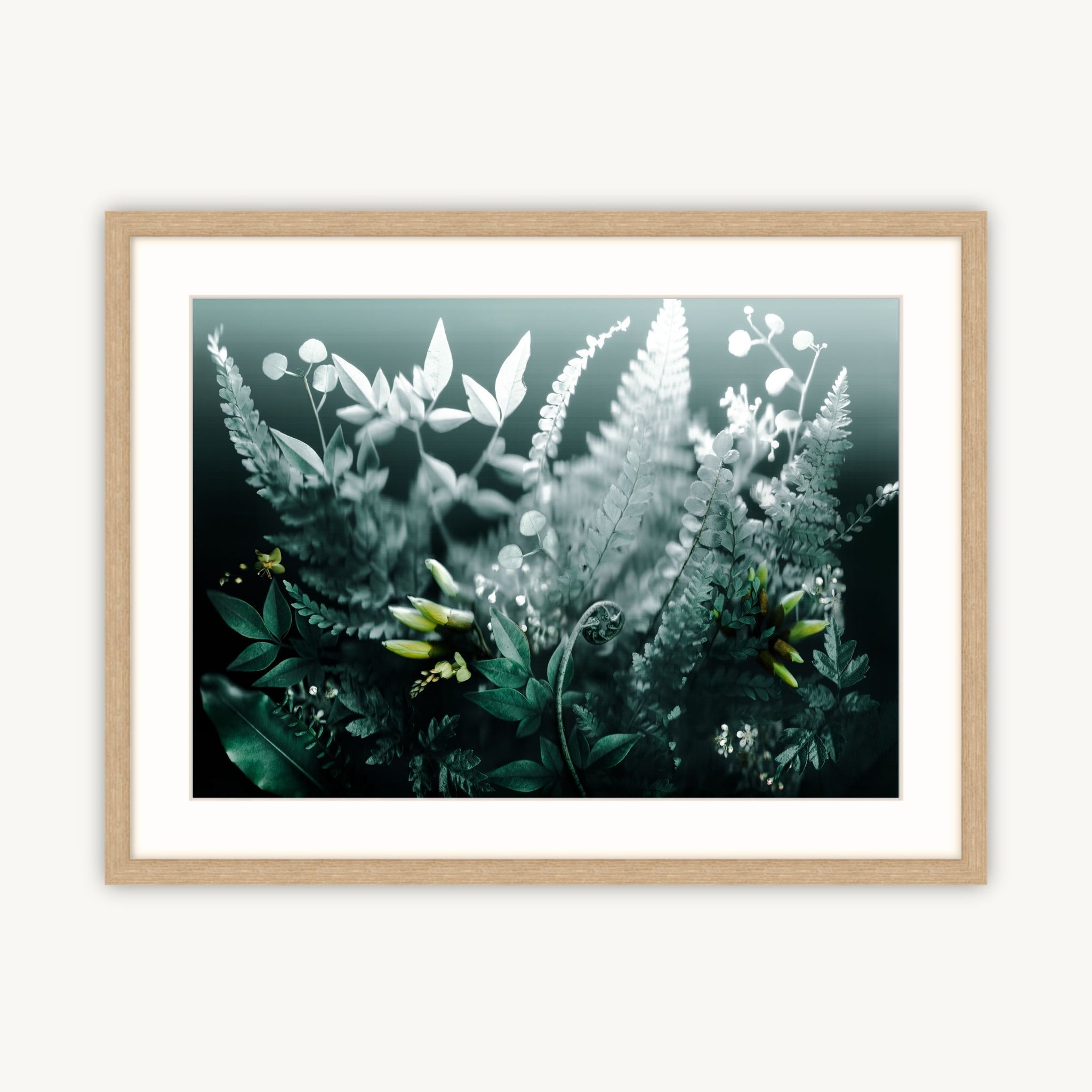 Native Forest - Fine Art Print