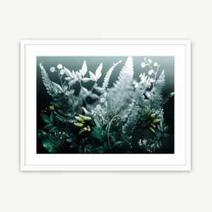 Native Forest - Fine Art Print