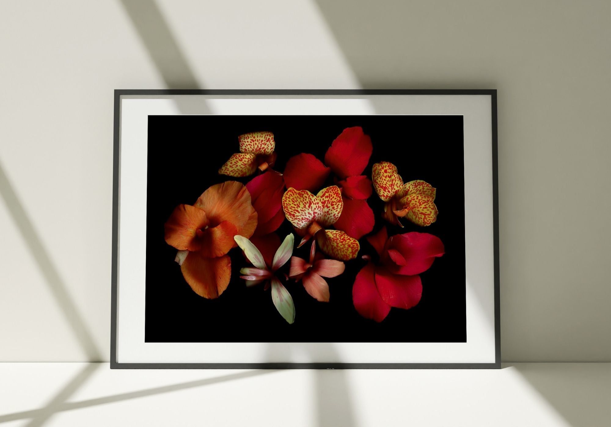Opulent Cannas - Fine Art Print