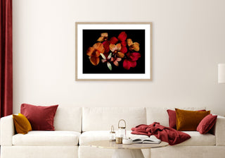 Opulent Cannas - Fine Art Print