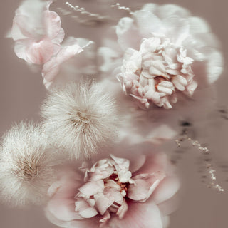 Rosy Reverie 04 - Fine Print Co Exclusive