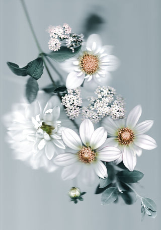 Seaform Bouquet 02 - Fine Print Co Exclusive