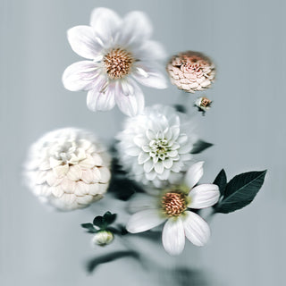 Seaform Bouquet 03 - Fine Print Co Exclusive