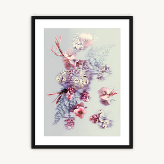 Springtime Blossom - Fine Art Print