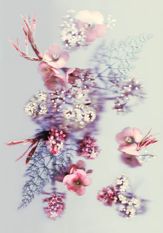 Springtime Blossom - Fine Art Print
