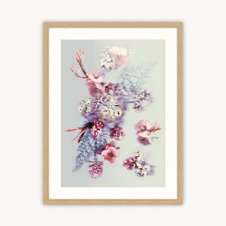 Springtime Blossom - Fine Art Print