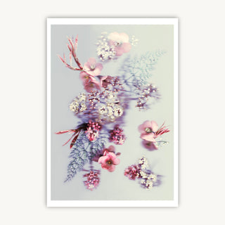 Springtime Blossom - Fine Art Print
